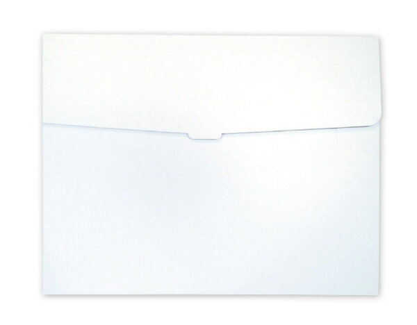 アーテック 新 作品収納ケース 大 白無地 11141