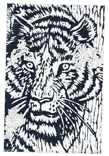 商品説明：非常に彫刻しやすく細かい彫りができます。版画版・彫刻刀・小刀の柄などにも使用されています。色調：芯材/灰緑色、辺材/灰白色、肌目：非常に密、光沢無、軟、軽量卒業共同制作、特に校歌用・掲示板用に合わせた木彫板です。 商品サイズ：150×100×10mm 材質：ほお材●仕様・寸法・デザインについては予告なく変更されることがあります。 ●画像はイメージです。代表画像を使用することがあります。 ●ご返品、交換、発注後のキャンセルはできません。 ●都度お取り寄せ発注のため突然の欠品等がありましたら連絡させていただきます。