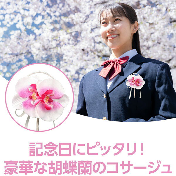 �����ƥå� ���������� ��ĳ�� �ԥ� 85047