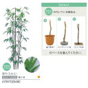 グローベン 屋内用 黒竹(5本立) H1500 1組 A70NT025ABC