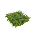 グローベン 人工植物 装飾用下草 メープルマット 270×270mm A70NT274