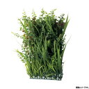 グローベン 人工植物 軒下用壁面装飾 下草 壁面用グリーンマットB A70NTW008 W210×H300×D60mm