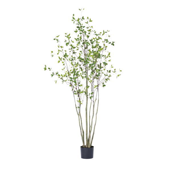 グローベン 人工植物 樹木・屋内用 ドウダンツツジ H2100 A70TN121
