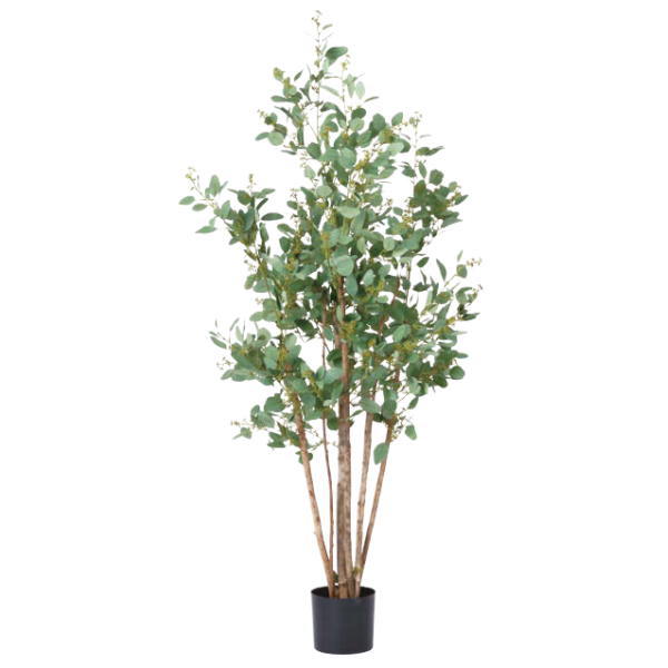 グローベン 人工植物 樹木・屋内用 ユーカリ 大 H2100 A70TN185