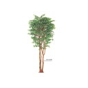 グローベン 人工植物 樹木・ビックベンジャミン 3本立 H3000 A70NS933E
