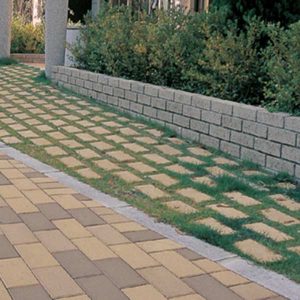 ��˥��� ���꡼����å������ѡ� ��ƻ�������� �в����ڡ����ݻ��� ���������ƥ������ե꡼ 1Ȣ��150�ġ�