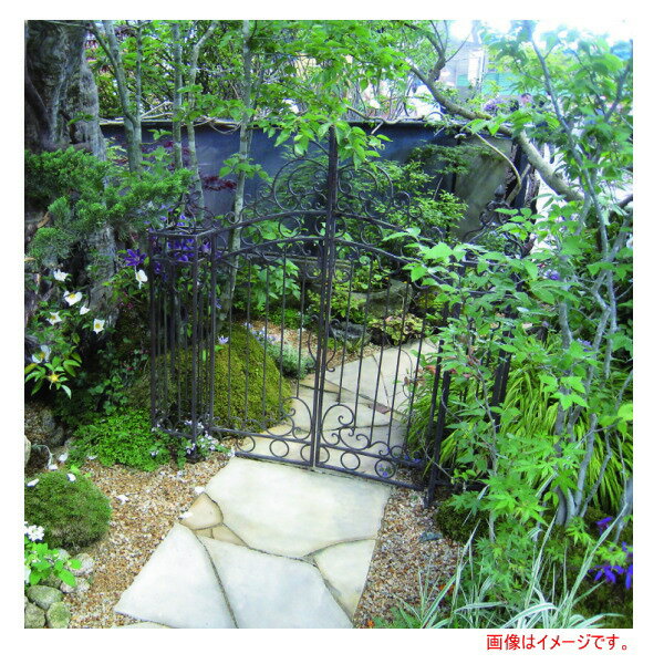 ���㡼�ӥ����� ���󥰥�������0812���� 32343