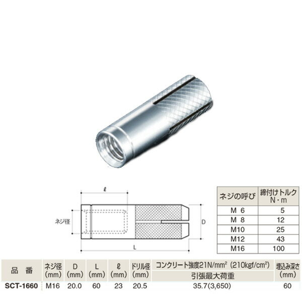 ふじわら アイオウル シーティーアンカー 内部コーン打込み式／シーティーアンカー ミリネジ SUS304系 SCT-1660