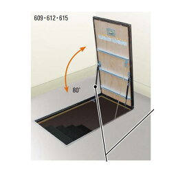 ダイケン 気密タイプ 床ハッチ サイズ呼称609ステンカラー HXJ609N