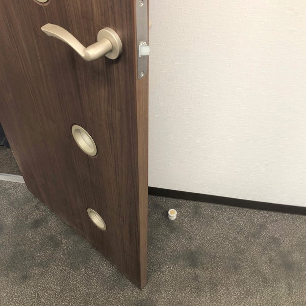 �˥塼�ҥ��� �롼����� (���֥뷿) ��������򥴥� SH-TR20GW