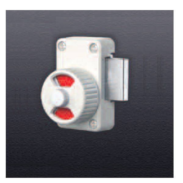 ヒナカ ネオラッチ 2667 色：白