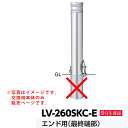サンポール アルミヘッドリフター差込式カギ付車止め LV-260SKC-E交換用本体 エンド用 最終端部