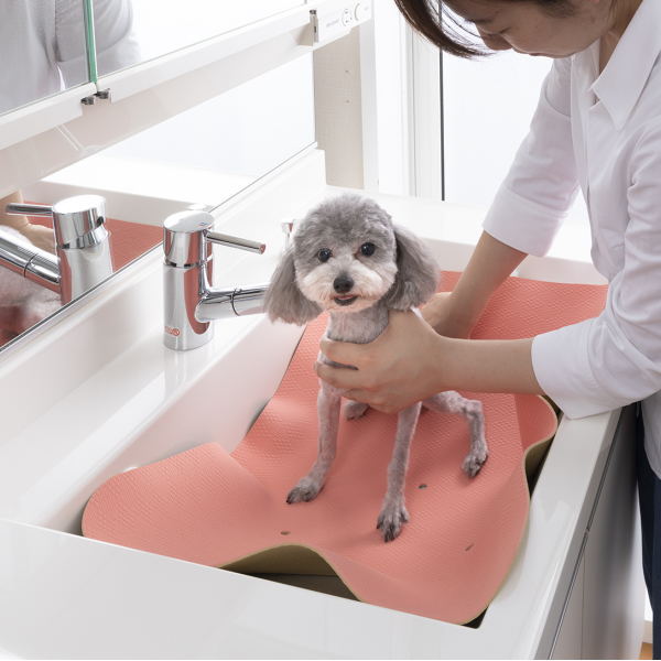 ���󥳡� �ڥåȤΥ����ס���Ŭ�ޥå� 45��55cm AA-20 PI