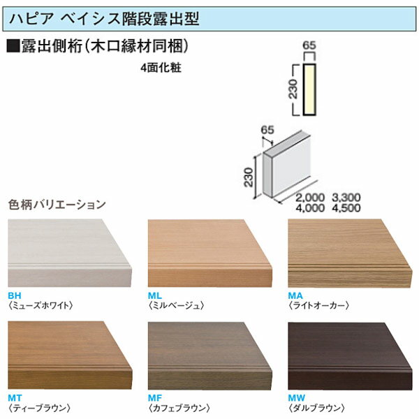 日本産 大建 ハピア ベイシス階段露出型 露出側桁 木口縁材同梱 3300 Cr2 K21 上質で快適 Palco Co In