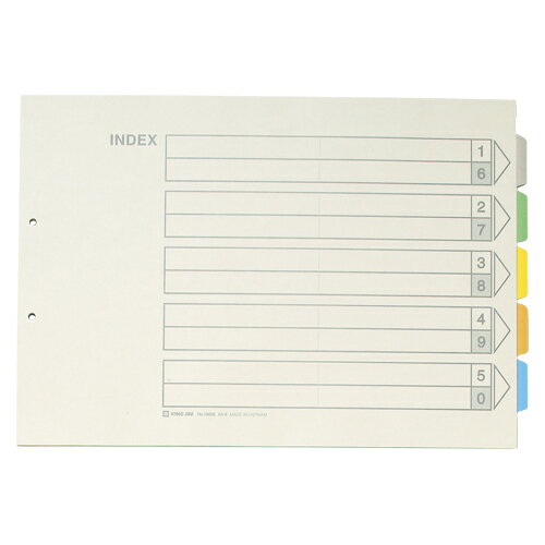 キングジム カラーインデックス 1000E 1冊