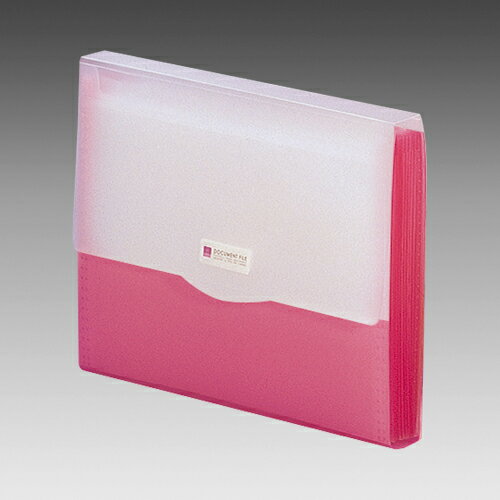 リヒトラブ リクエスト・ドキュメントファイル 赤 G5610-3 1冊