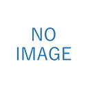 レイメイ藤井 大人の魔法のザラザラ下じき A4 グレー U1255N