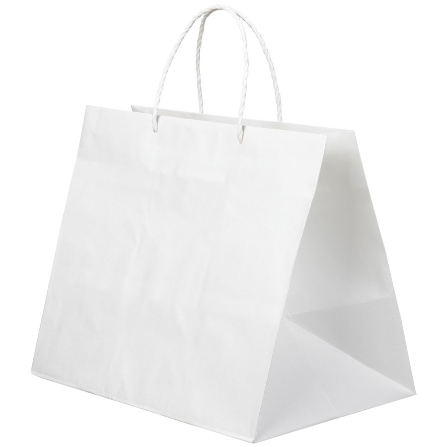 高級 手提げ袋 377100 フラット L-23 230×140×190mm 100袋段ボール(10袋PP入り×10束）