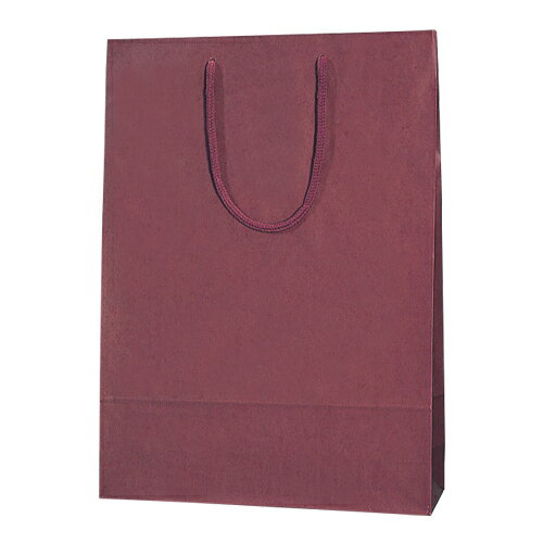 シモジマ カラーCB 2才 臙脂 5310113 10枚入