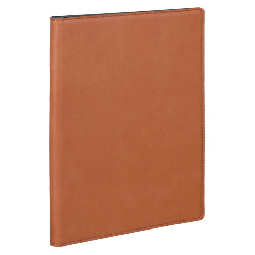 レイメイ ビジネススリムバインダーA4 ブラウン QE1126C 1冊