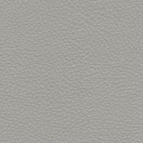 󥲥 ػ L-Texture 顼쥶 UP5004 ͭ122cm 10cmĹ