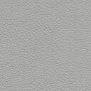 サンゲツ 椅子生地 L-Texture カラーレザー UP5011 有効巾122cm 10cm長