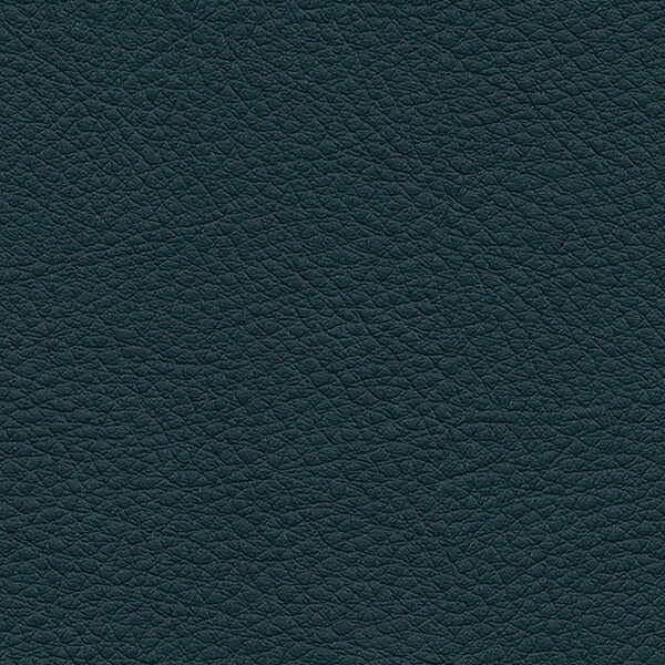 󥲥 ػ L-Texture 顼쥶 UP5014 ͭ122cm 10cmĹ