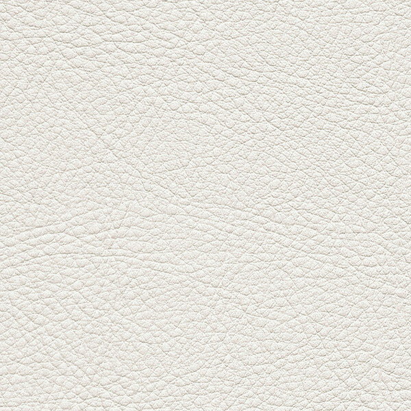 サンゲツ 椅子生地 L-Texture カラーレザー UP5023 有効巾122cm 10cm長