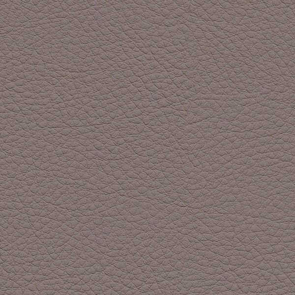 サンゲツ 椅子生地 L-Texture カラーレザー UP5027 有効巾122cm 10cm長
