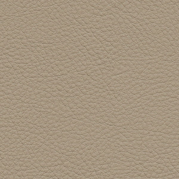 サンゲツ 椅子生地 L-Texture カラーレザー UP5033 有効巾122cm 10cm長