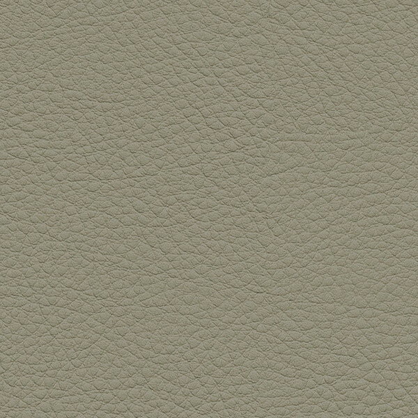 サンゲツ 椅子生地 L-Texture カラーレザー UP5034 有効巾122cm 10cm長