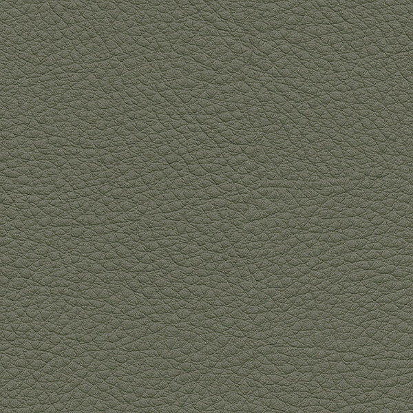 サンゲツ 椅子生地 L-Texture カラーレザー UP5037 有効巾122cm 10cm長