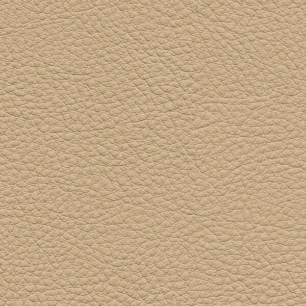サンゲツ 椅子生地 L-Texture カラーレザー UP5041 有効巾122cm 10cm長