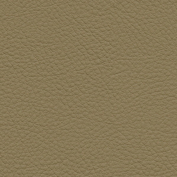 サンゲツ 椅子生地 L-Texture カラーレザー UP5043 有効巾122cm 10cm長