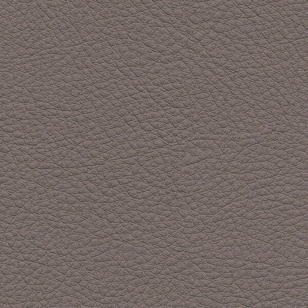 サンゲツ 椅子生地 L-Texture カラーレザー UP5044 有効巾122cm 10cm長