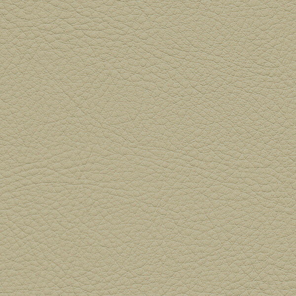 サンゲツ 椅子生地 L-Texture カラーレザー UP5048 有効巾122cm 10cm長