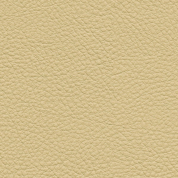 󥲥 ػ L-Texture 顼쥶 UP5049 ͭ122cm 10cmĹ