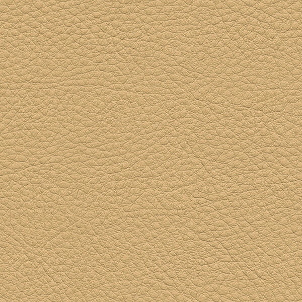 サンゲツ 椅子生地 L-Texture カラーレザー UP5050 有効巾122cm 10cm長
