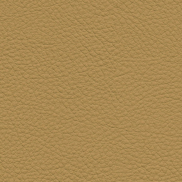 サンゲツ 椅子生地 L-Texture カラーレザー UP5051 有効巾122cm 10cm長