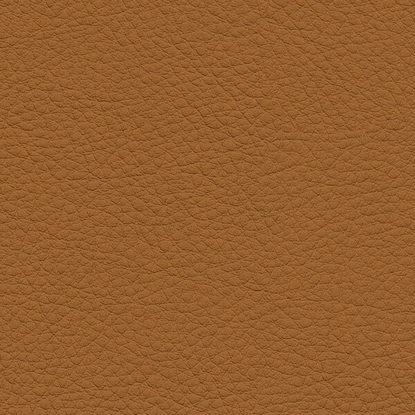 施工性、機能性を備えた定番ビニルレザー。150色の豊富なカラーバリエーションで、幅広いシーンにご使用いただけます。 機能:水や中性洗剤等で汚れの落ちやすい商品です。 表面に付着した細菌の増殖を抑制する効果があります。 日本自動車車体工業会に...