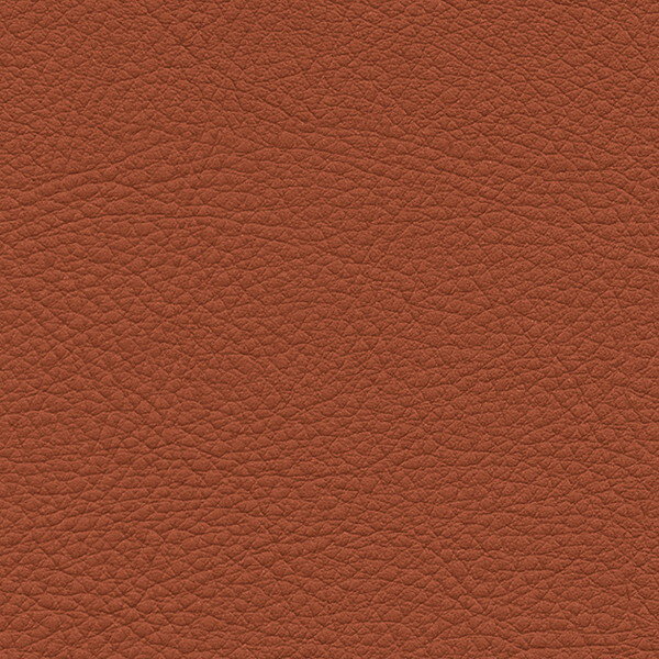 サンゲツ 椅子生地 L-Texture カラーレザー UP5060 有効巾122cm 10cm長