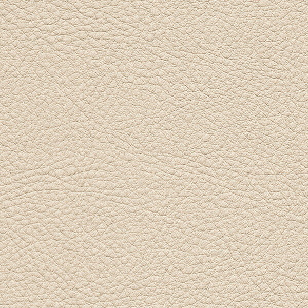 施工性、機能性を備えた定番ビニルレザー。150色の豊富なカラーバリエーションで、幅広いシーンにご使用いただけます。 機能:水や中性洗剤等で汚れの落ちやすい商品です。 表面に付着した細菌の増殖を抑制する効果があります。 日本自動車車体工業会に...