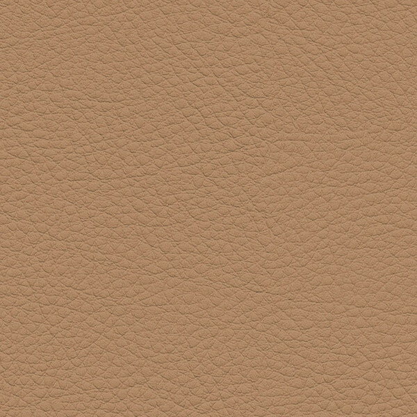 サンゲツ 椅子生地 L-Texture カラーレザー UP5065 有効巾122cm 10cm長
