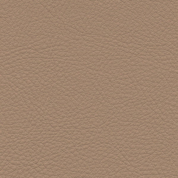 サンゲツ 椅子生地 L-Texture カラーレザー UP5067 有効巾122cm 10cm長