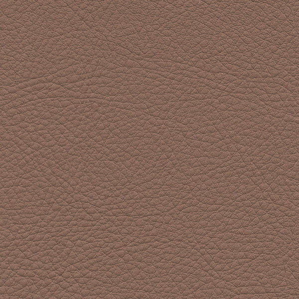󥲥 ػ L-Texture 顼쥶 UP5068 ͭ122cm 10cmĹ