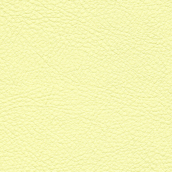 サンゲツ 椅子生地 L-Texture カラーレザー UP5072 有効巾122cm 10cm長