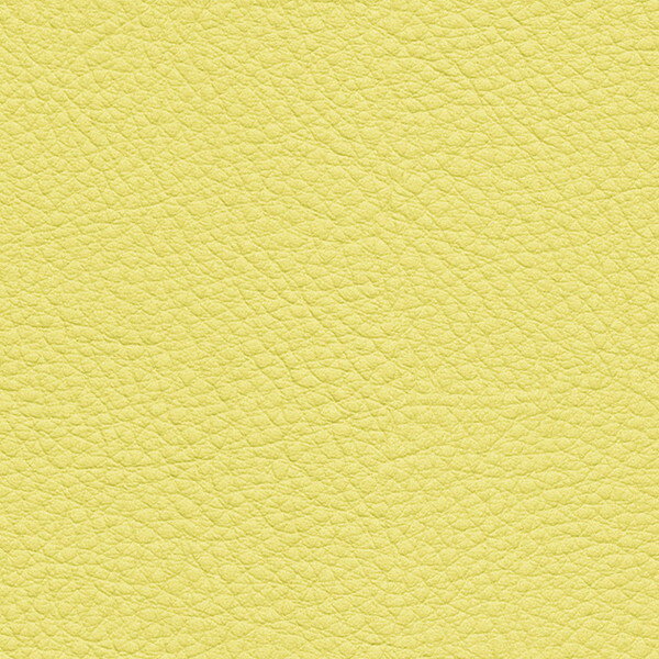 サンゲツ 椅子生地 L-Texture カラーレザー UP5073 有効巾122cm 10cm長