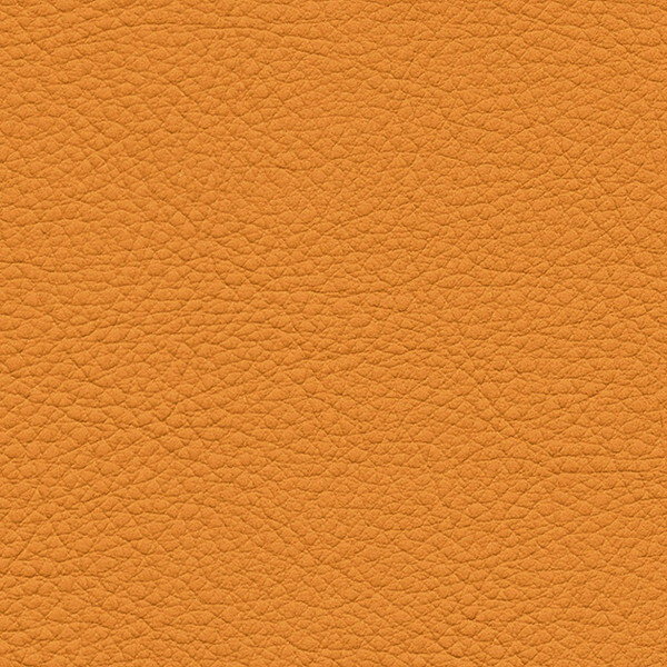サンゲツ 椅子生地 L-Texture カラーレザー UP5084 有効巾122cm 10cm長