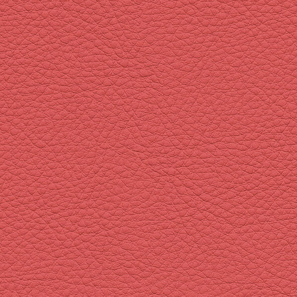 ���󥲥� �ػ����� L-Texture ���顼�쥶�� UP5090 ͭ����122cm 10cmĹ