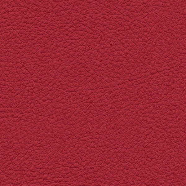 ���󥲥� �ػ����� L-Texture ���顼�쥶�� UP5093 ͭ����122cm 10cmĹ